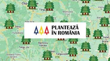 Proiectul „25 de copaci” - Dexion îi ajută pe români să „planteze copaci acasă”